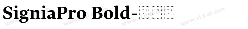 SigniaPro Bold字体转换